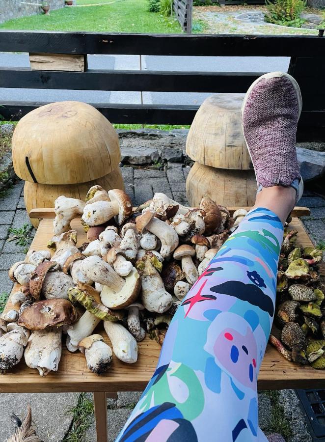 Willa Rozpravkovy Domcek Zvoncek Donovaly Zewnętrze zdjęcie